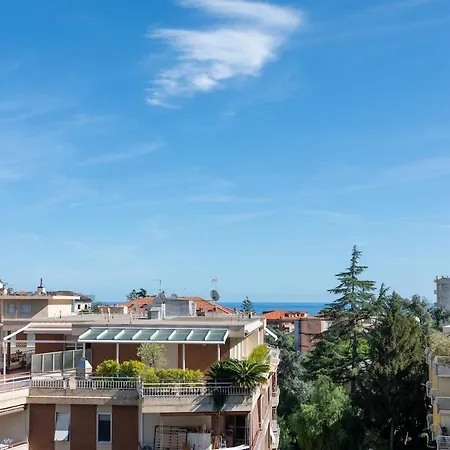 Camelia * Sanremo